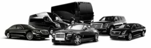limo fleet