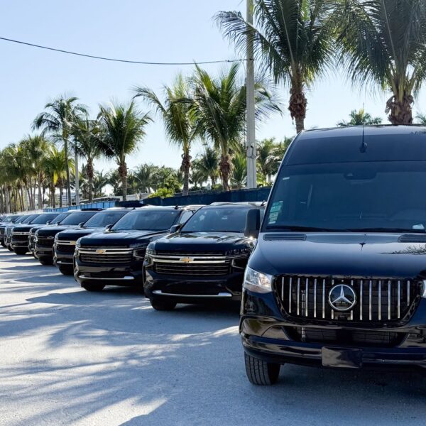 Formula one Limo Service