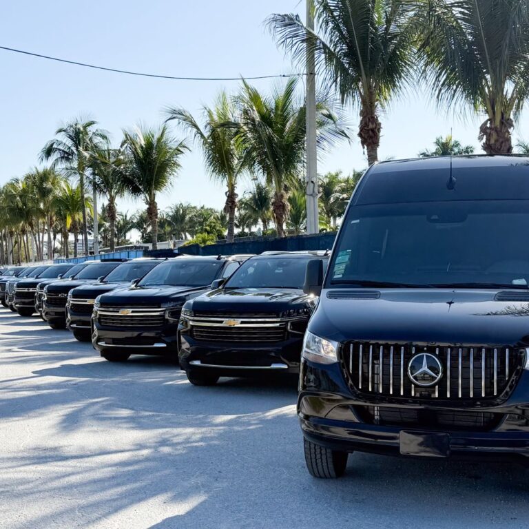 Formula one Limo Service
