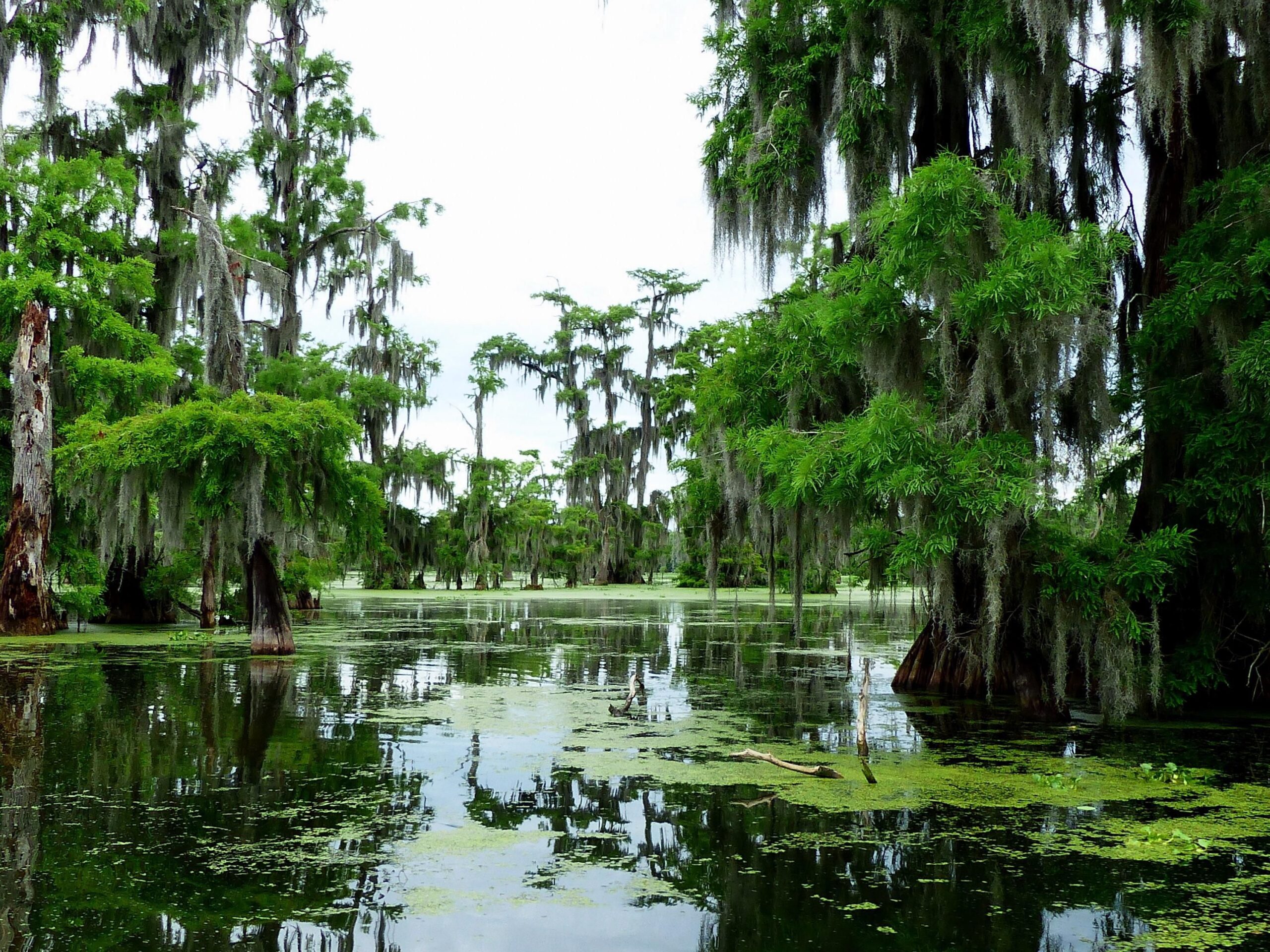Louisiana1