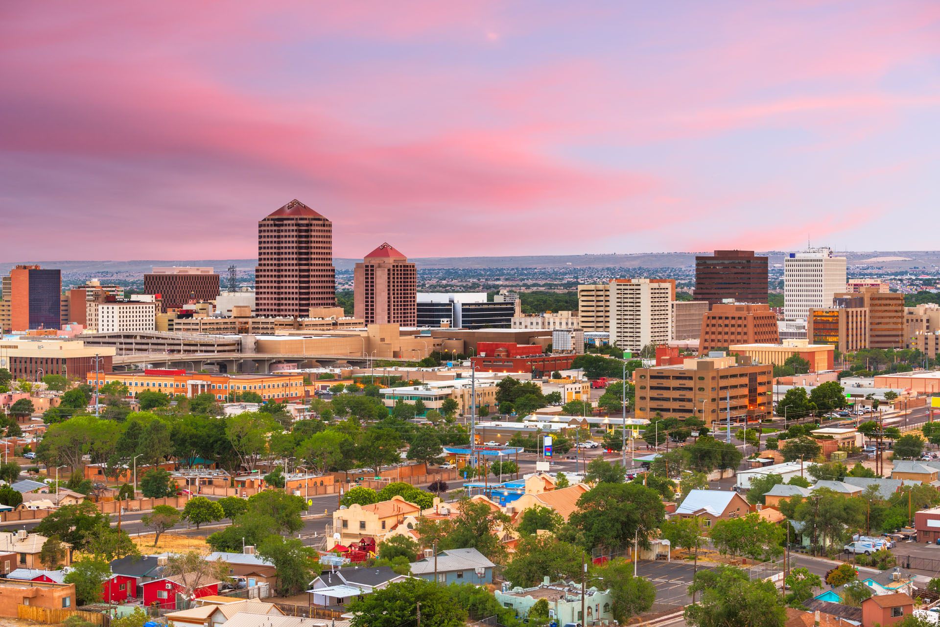 New Mexico1