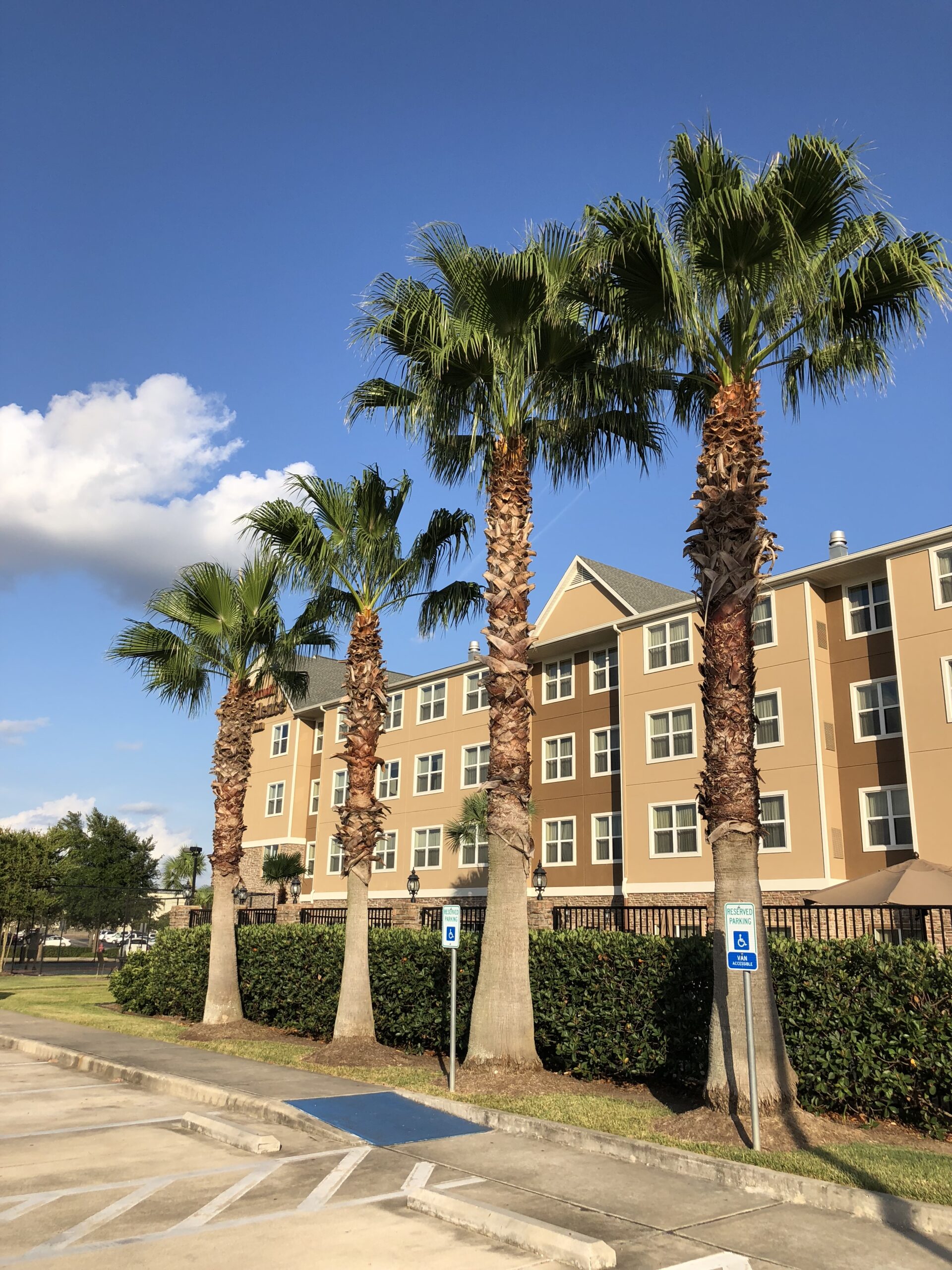 Limo Service In Katy