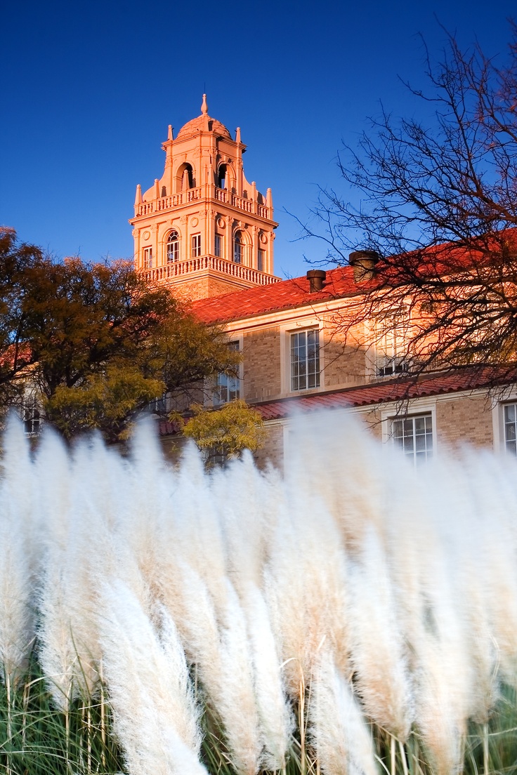 Limo Service In Lubbock