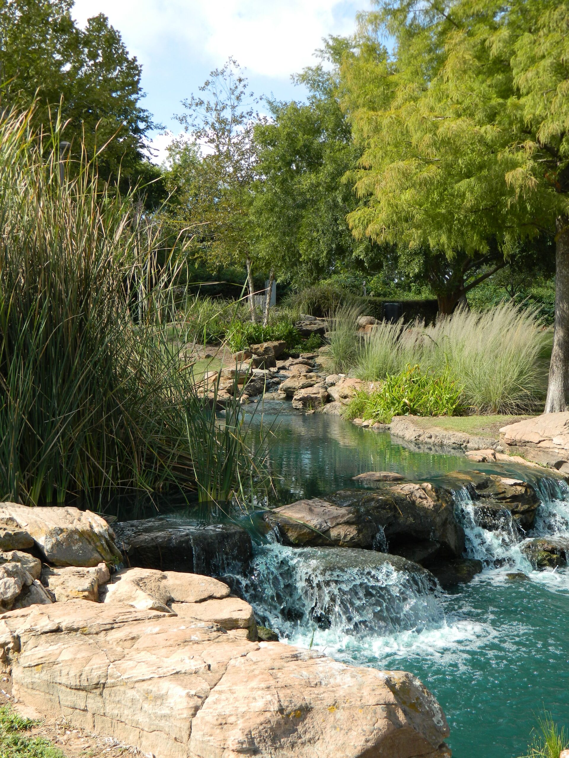 Limo Service In Sugar Land