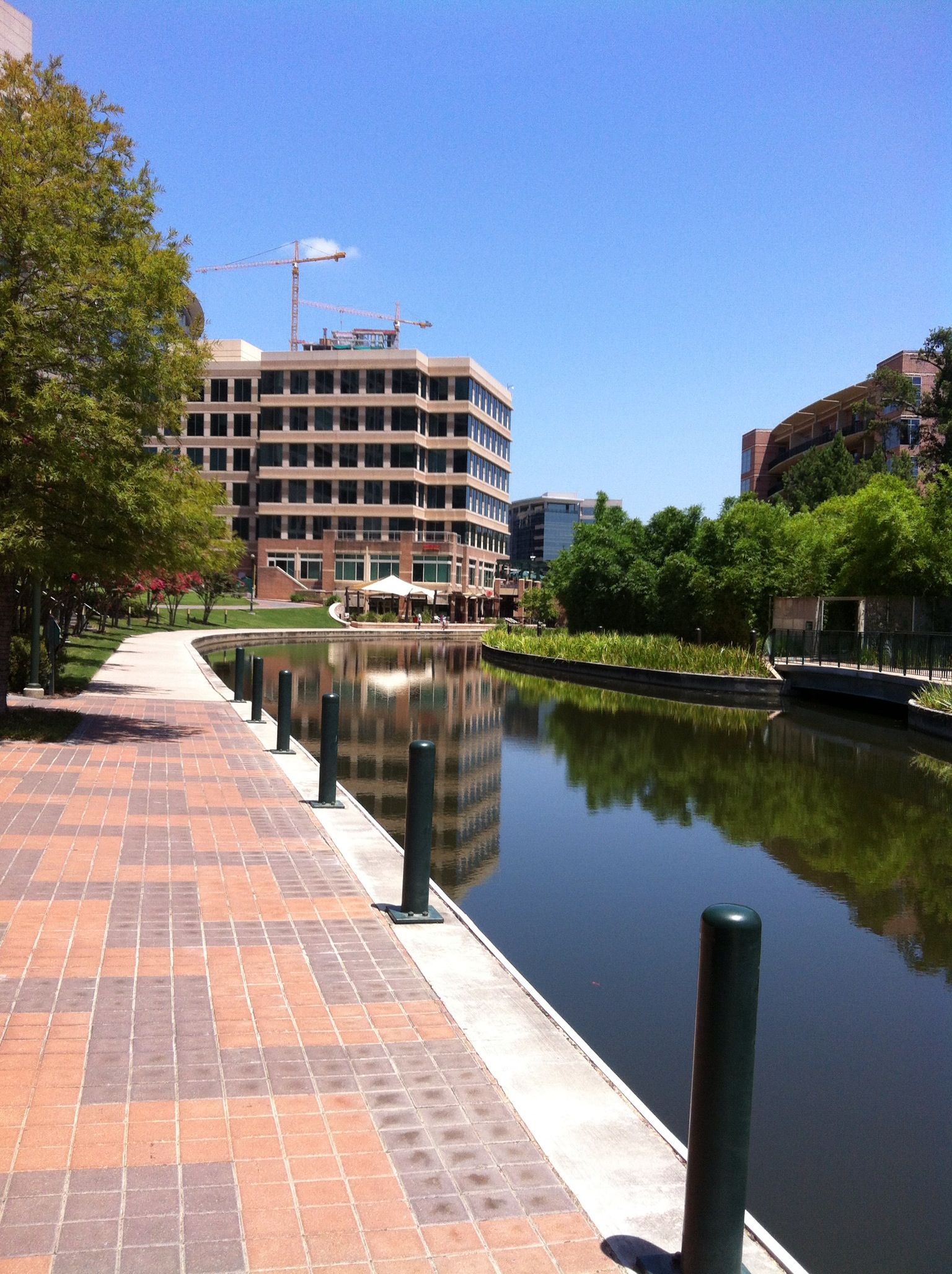 Limo Service In Wood Land