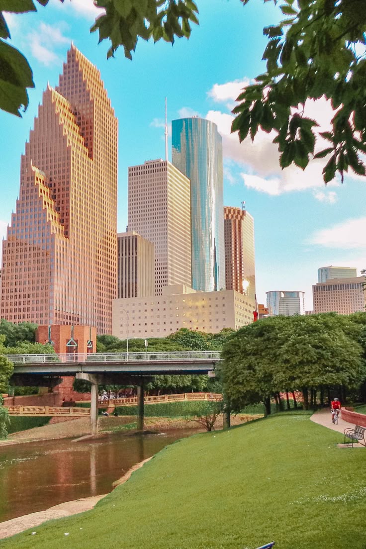 Limo Service In Houston