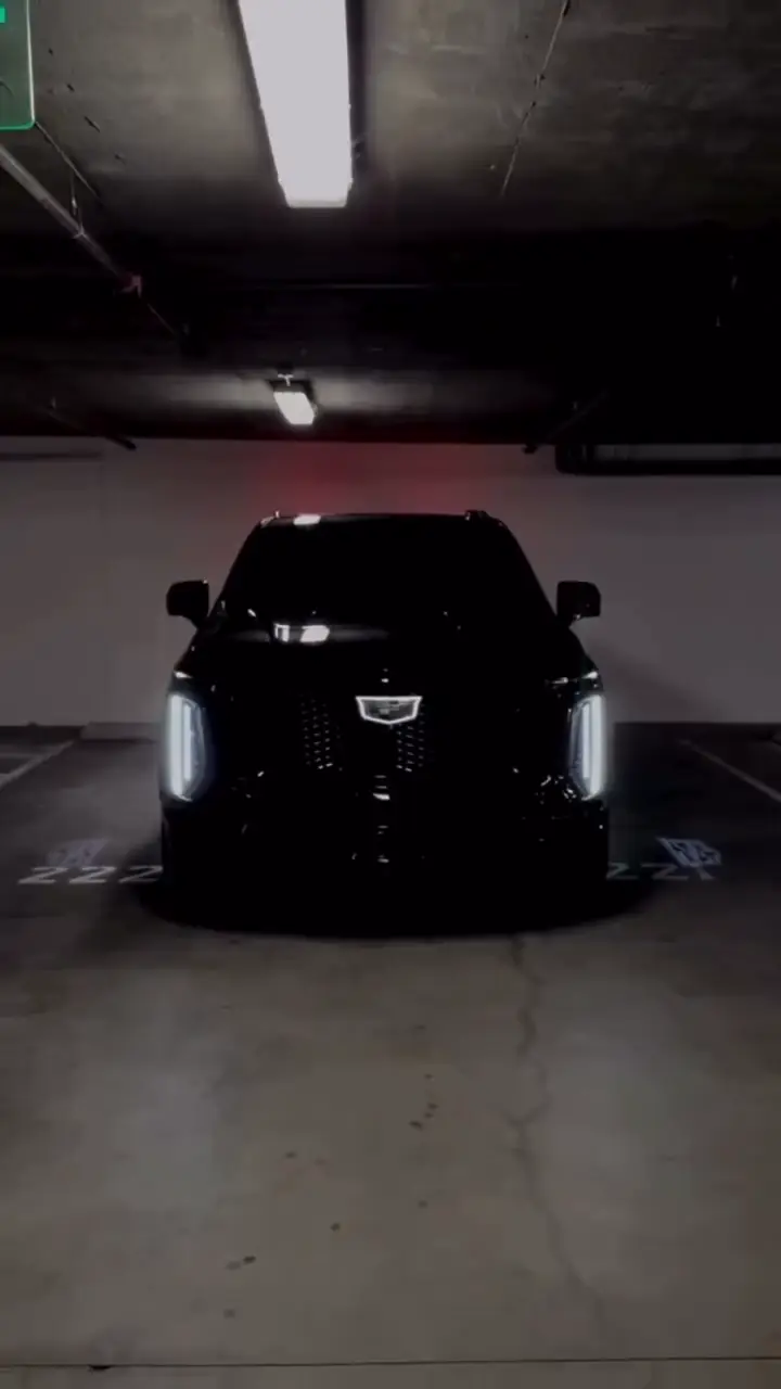 Chauffeured black car service in Austin